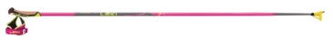 Monobrin Construction of Cross -Country Ski Sticks Leki